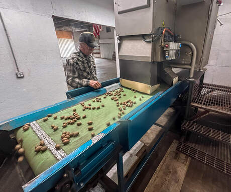 In-shell nut inspection system finds hidden product defects in pecans
