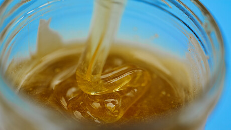 Honey sensory innovator receives Seedlab Australia Churchill Fellowship