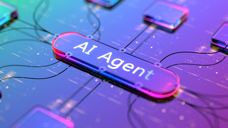Autonomous AI agents increasing data risks: report