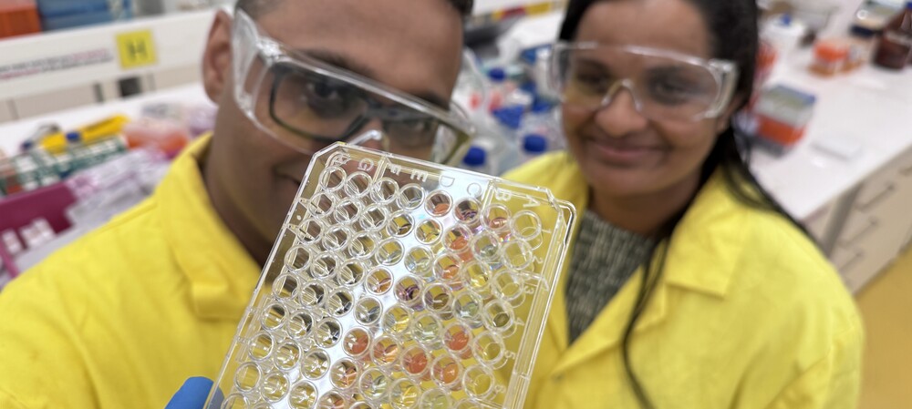 Tiny gold particles power golden staph colour test