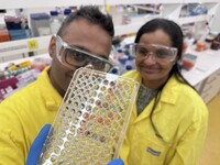 Tiny gold particles power golden staph colour test