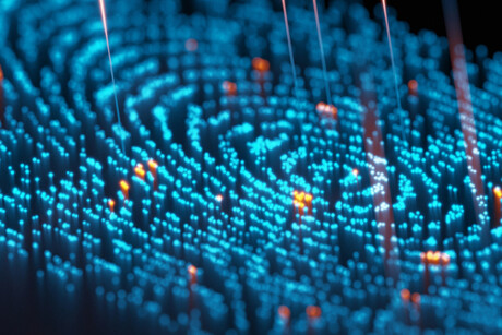 Why quantum is our next big bet after AI
