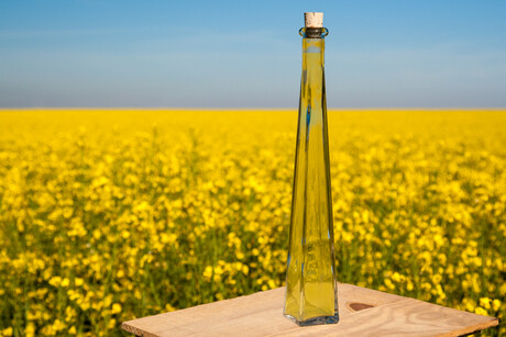 Refining research helps optimise flavours of edible oils