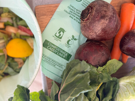 'Biodegradable' claims banned in Europe