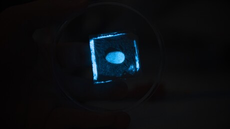 Electronic skin combines sensing, visualisation in one device