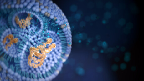 Scientists 'reprogram' tumour-supporting immune cells