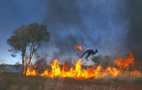 Australia now more at risk from climate pollution