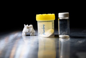 Could this 'nanobone' material allow children to regrow bone?