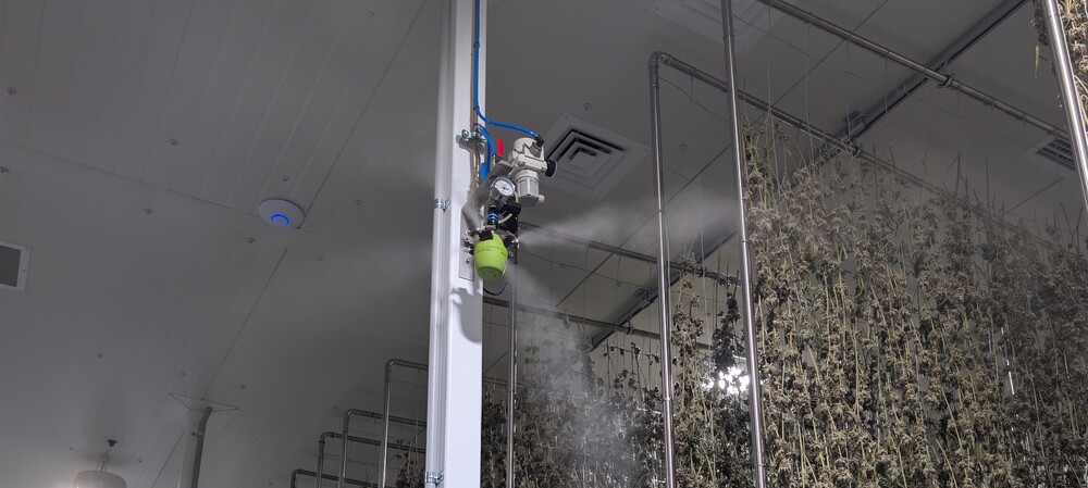Humidification solution for Tasmanian Botanics
