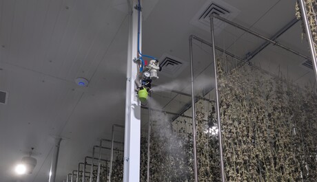 Humidification solution for Tasmanian Botanics