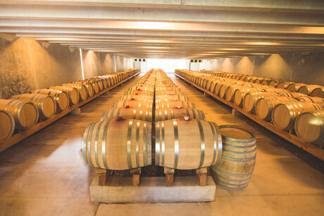 Wine mentoring program underway in NZ